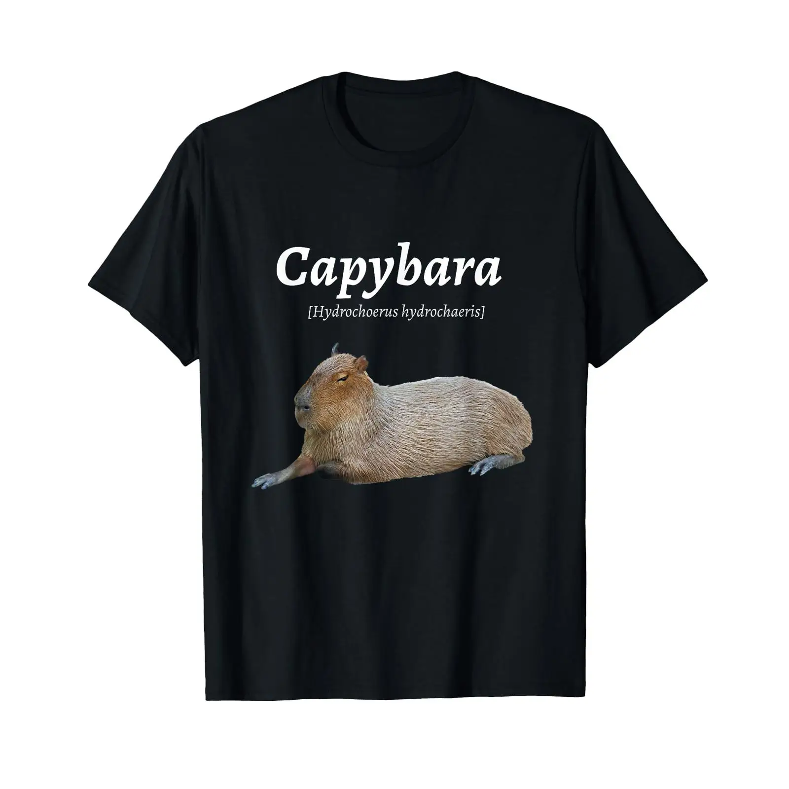 Funny Cute Capybara Capy Bara  - Vintage Fashion Definition recension och pris